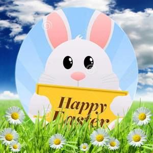 Meet your Posher, Lee